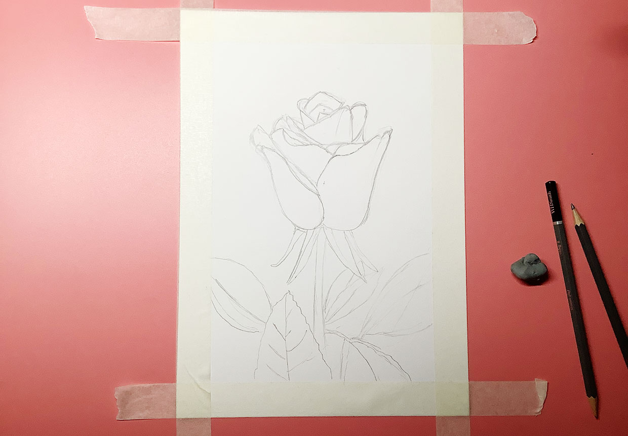 Step 2 – drawing the rose outline