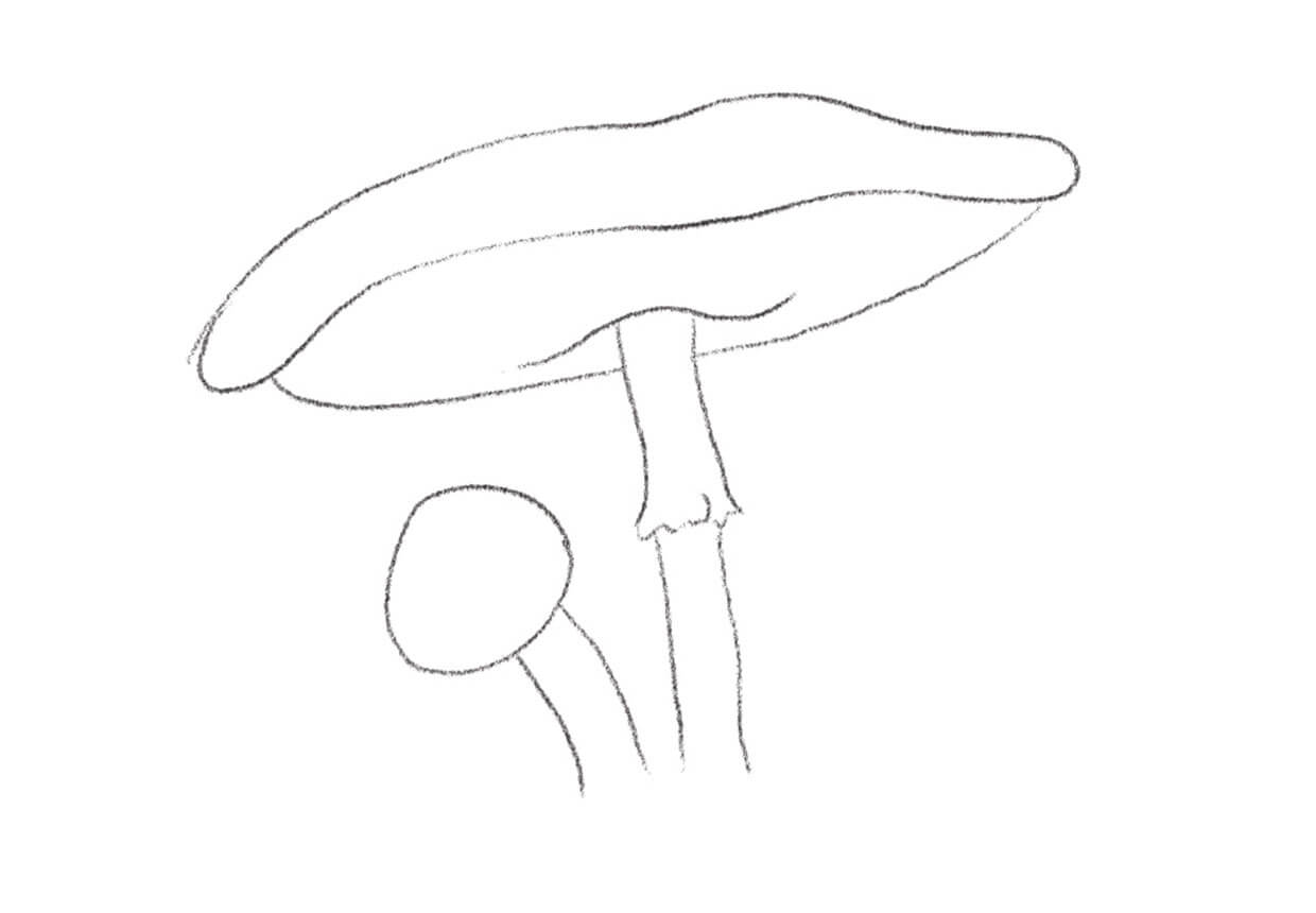 Draw a stalk for the baby mushroom