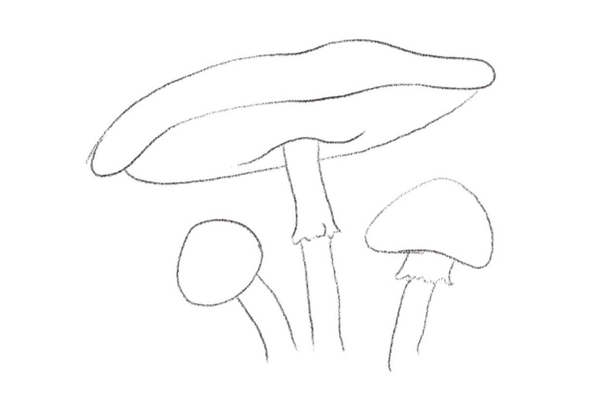 Draw a third mushroom