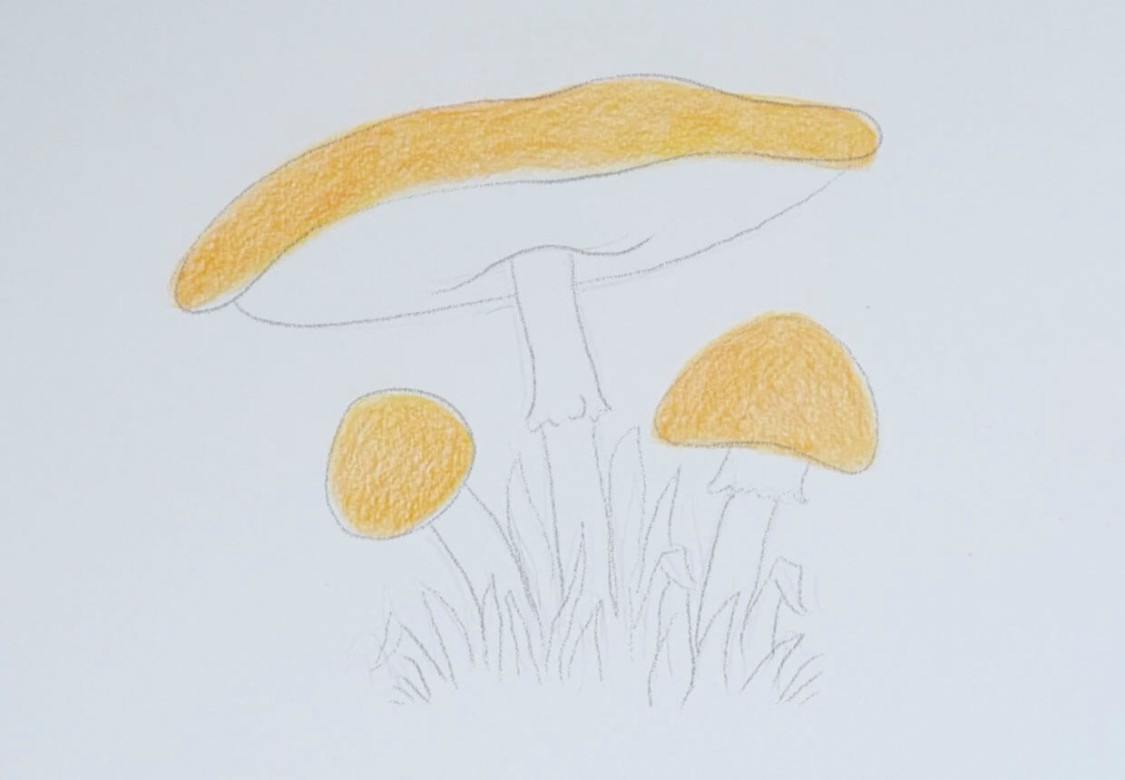 How to Draw a Mushroom | Easy Step by Step Tutorial - Art by Ro