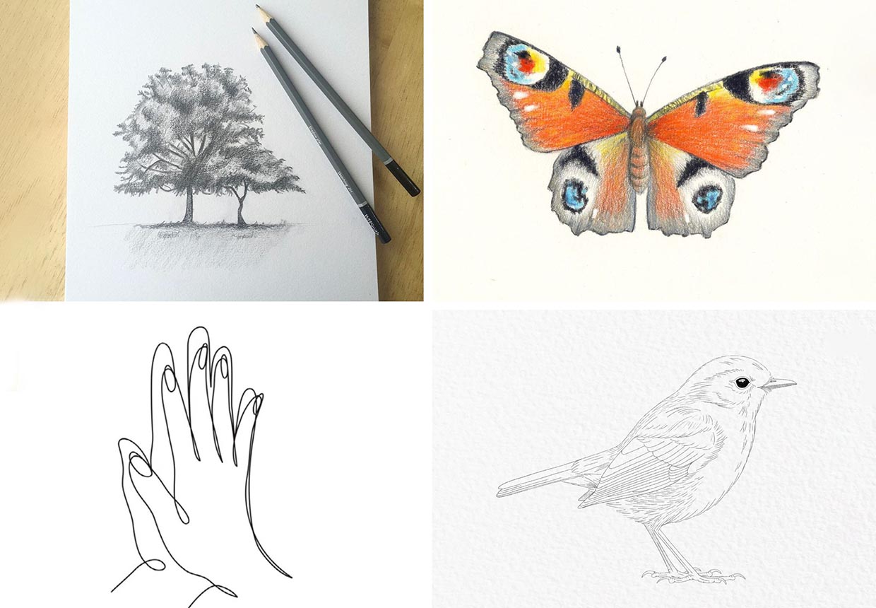 Easy Drawing Ideas: 14 Simple Prompts and Lessons - Drawings Of...-saigonsouth.com.vn