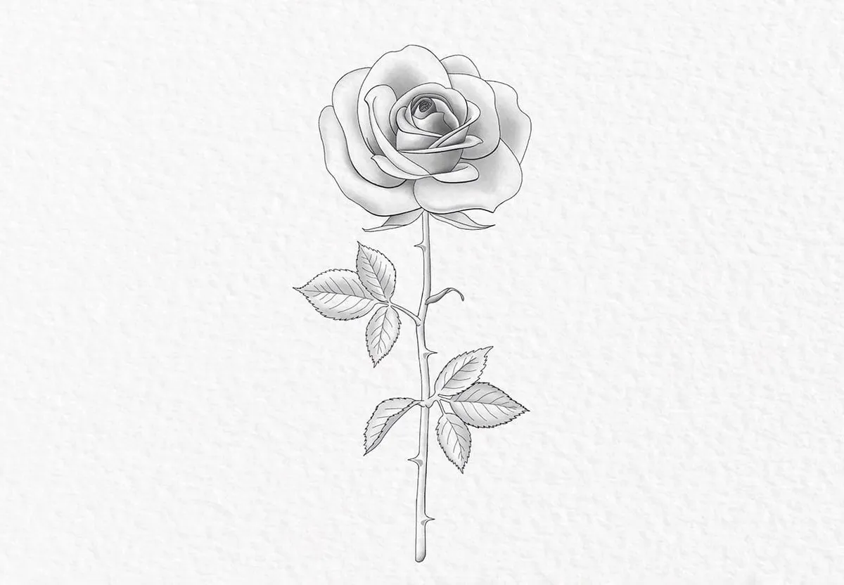 How to draw a rose