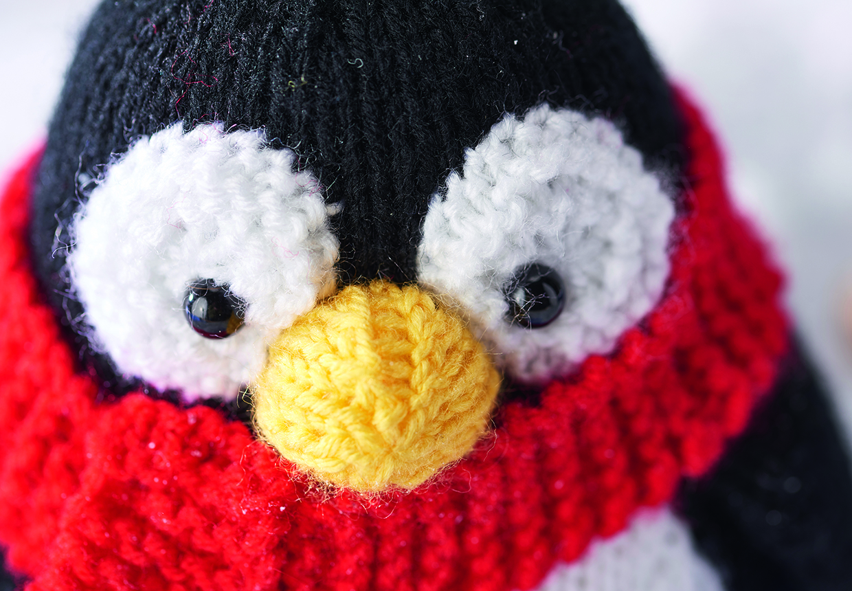 the eyes are knitted separately a white yarn circles, then attached on to the head