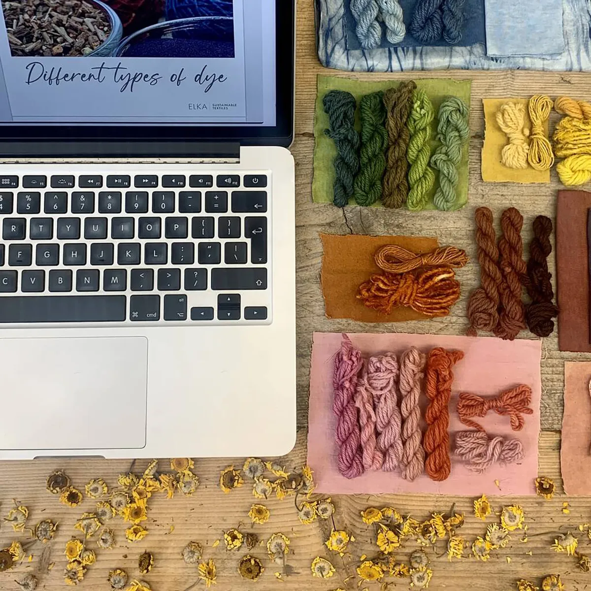 an-introduction-to-natural-dyeing