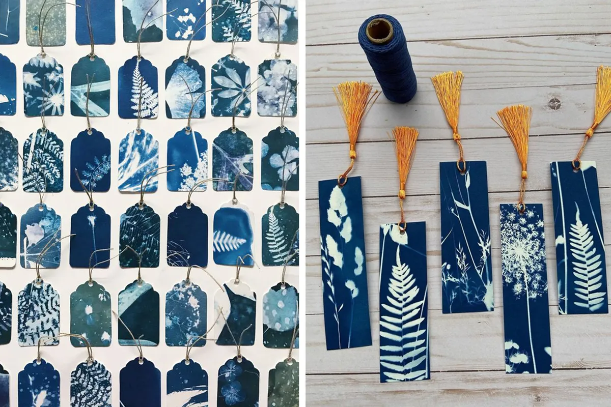 Get creative with a cyanotype kit - Gathered