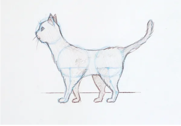 How to draw a cat step by step