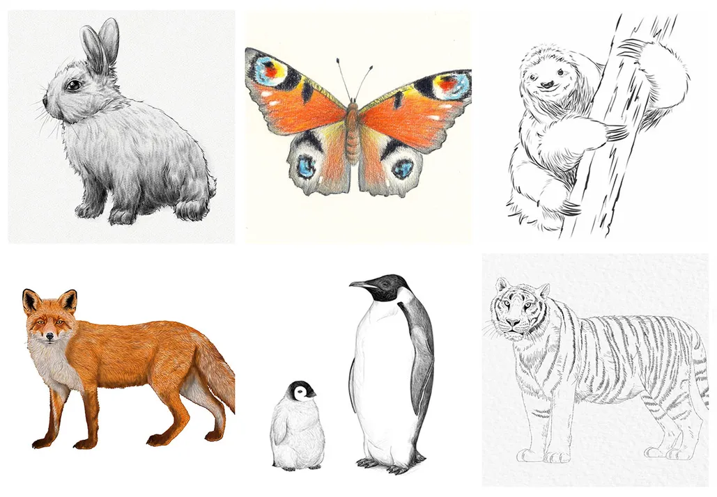 Go wild with our easy animals to draw! - Gathered