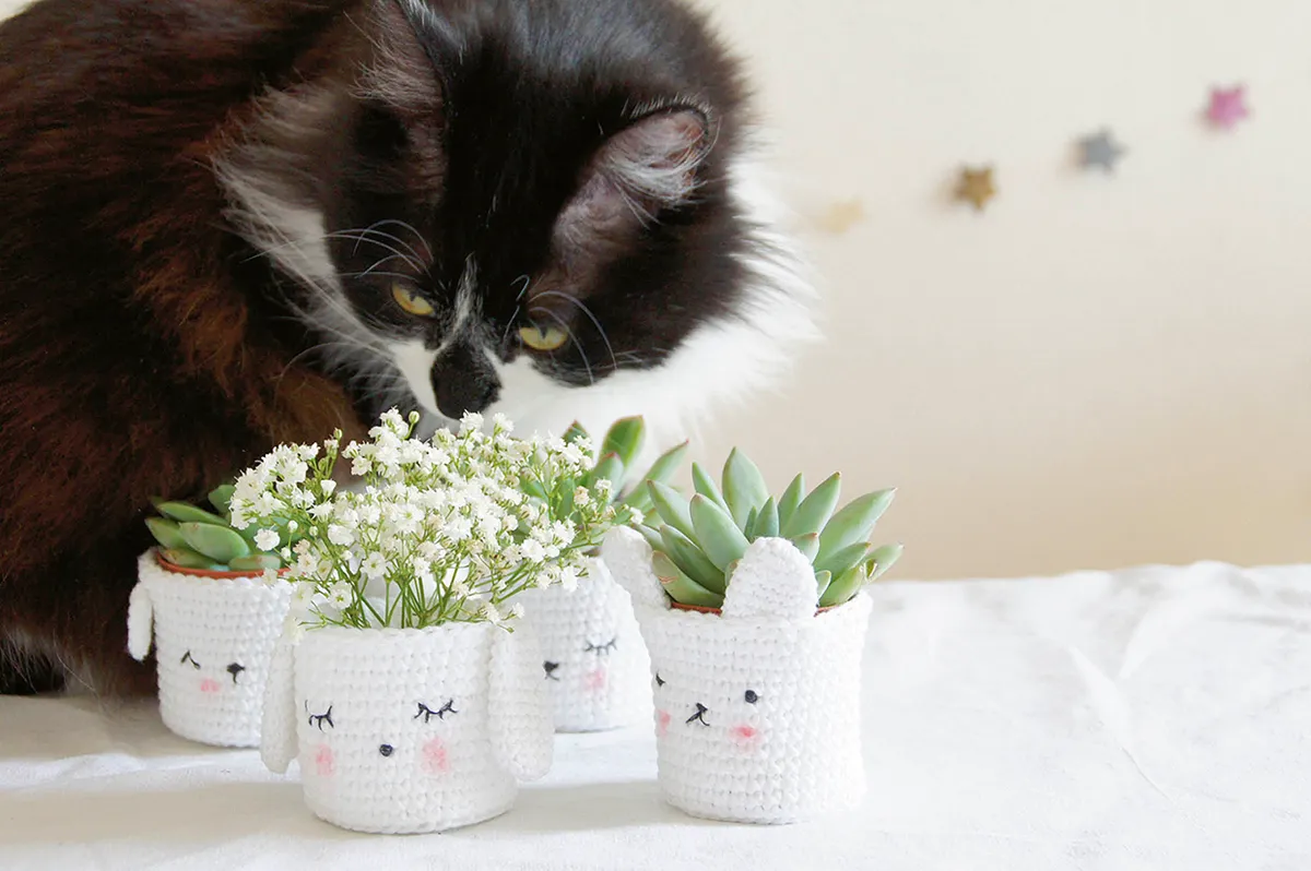 indoor plant pot covers with a cat