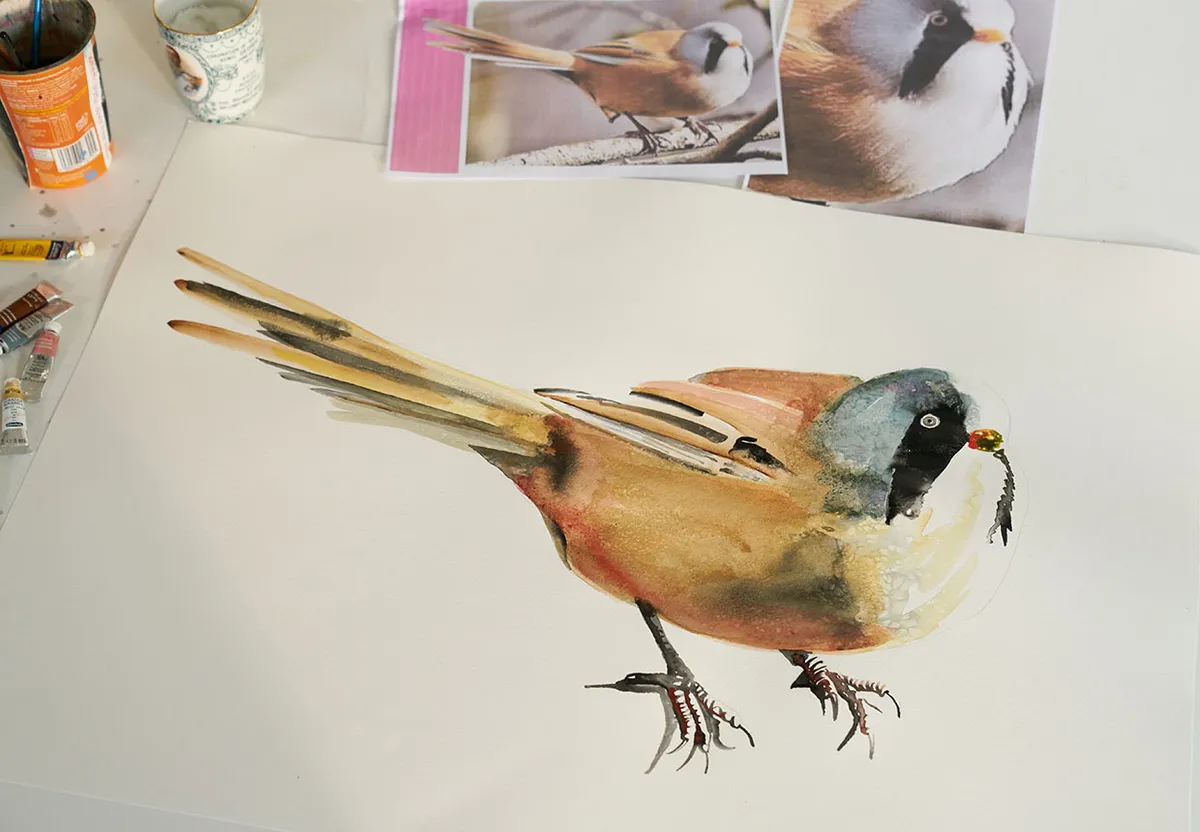 Bearded tit painting by Jim Moir