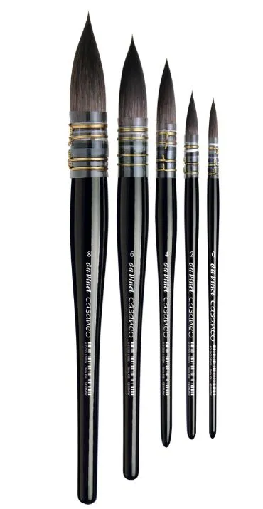 Casaneo Synthetic Brushes