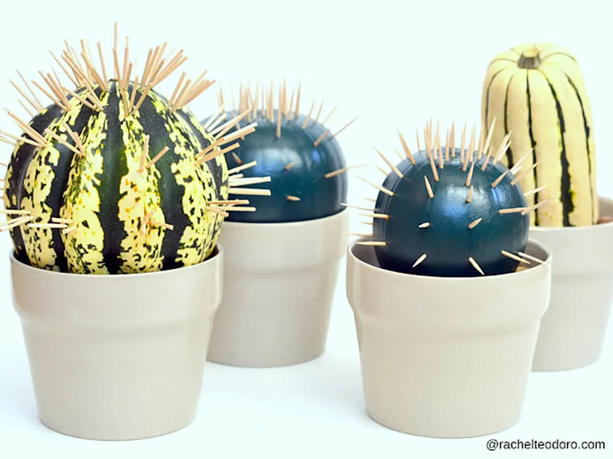 pumpkin decorating cactus