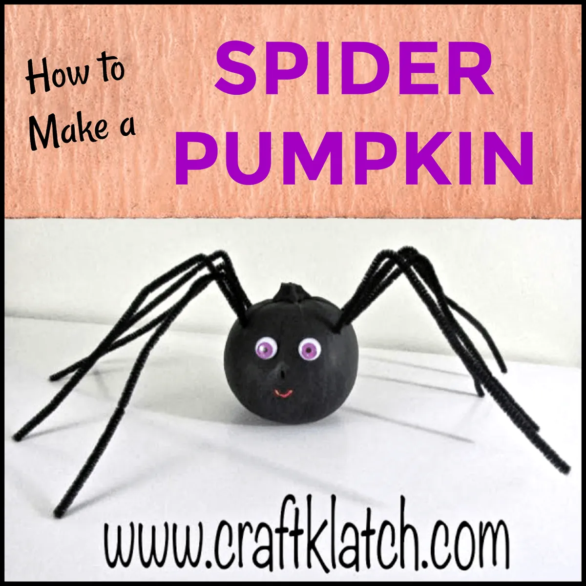 pumpkin decorating spider