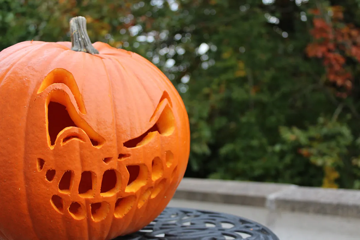 How-to-carve-a-pumpkin-pumpkin-carving-for-beginners-step-8b-7d48d22