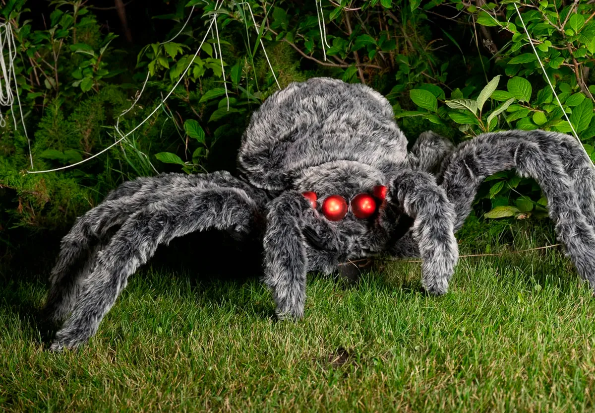 DIY giant spider