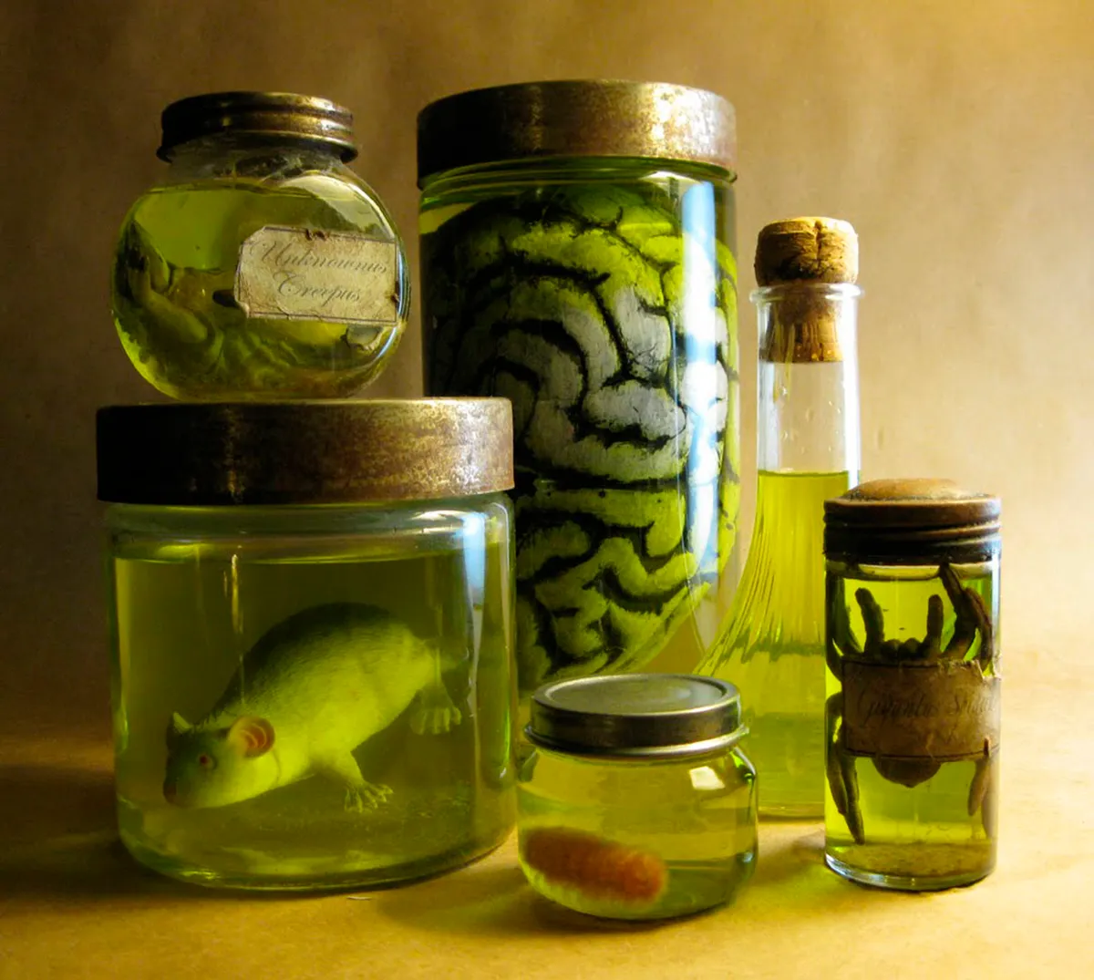 Halloween specimen jars
