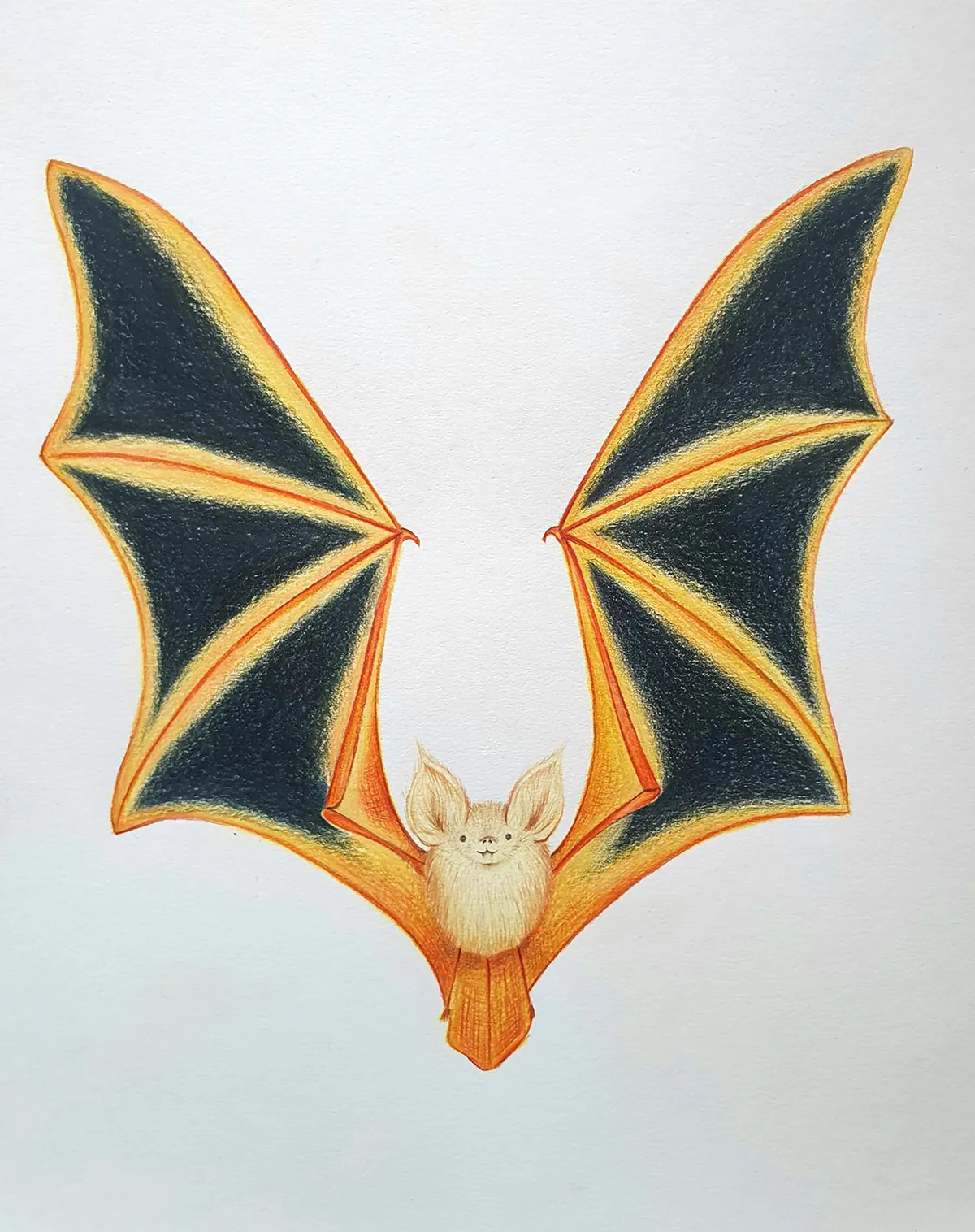 how to draw a bat STEP 8_A
