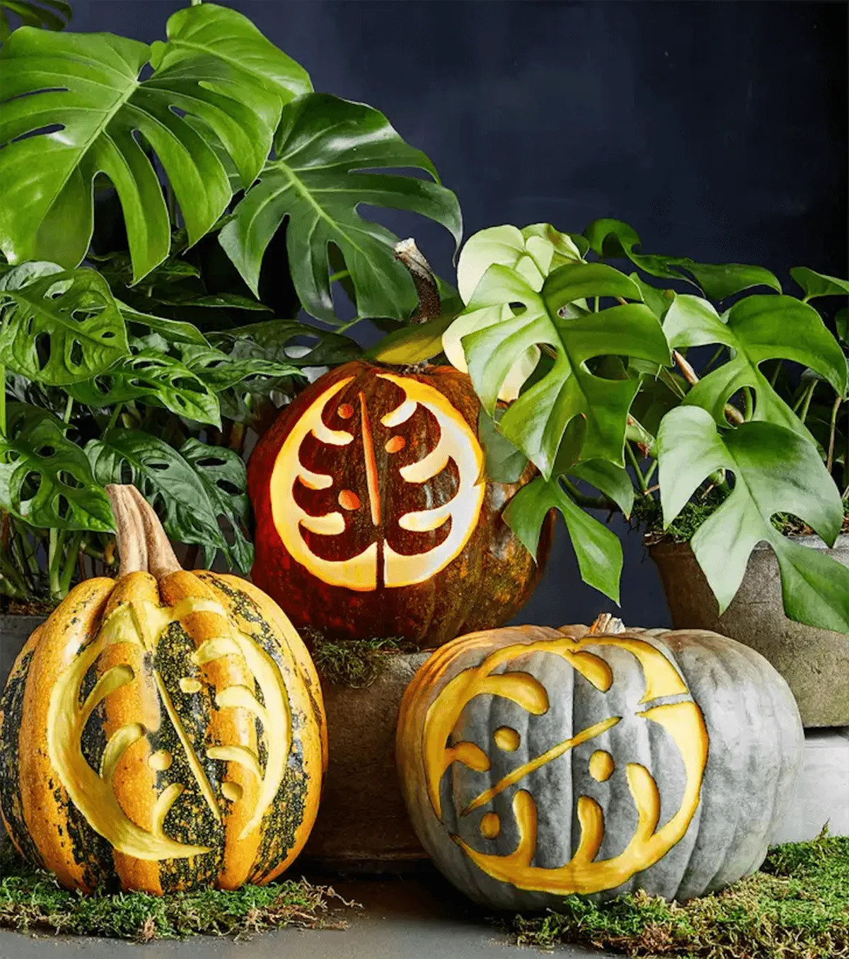 pumpkin carving stencils 18