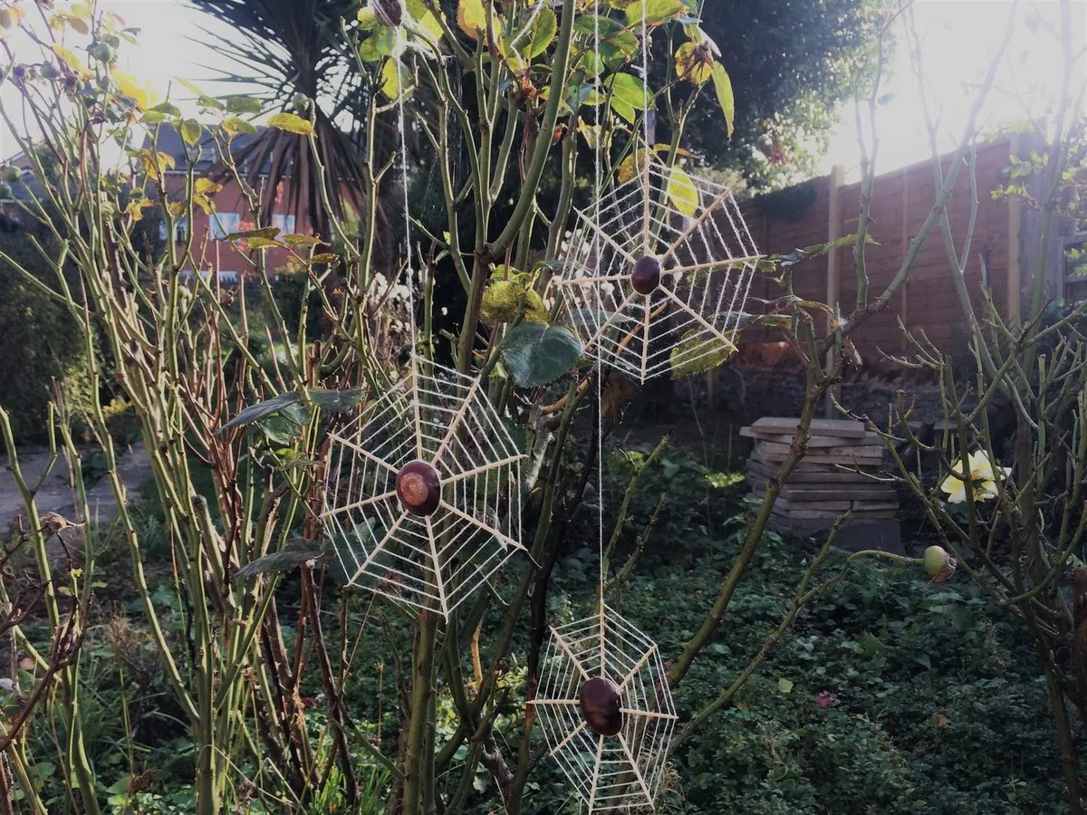 Three handmade conker spider webs hanging from a tree