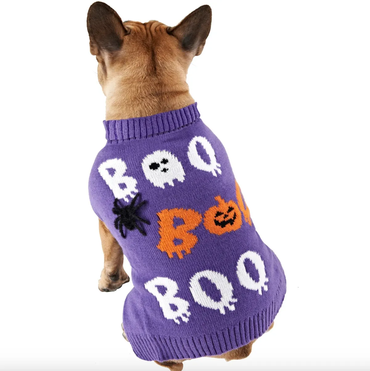 Halloween-themed dog jumper