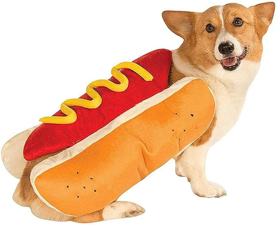 Hot dog Halloween costme