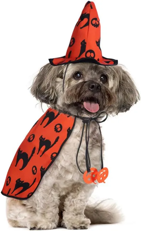 Waggy witch dog Halloween costume copy