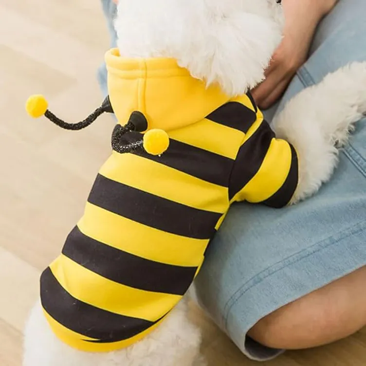 bumble bee dog halloween costume copy