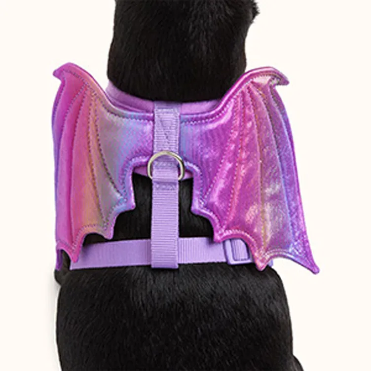 dragon dog halloween costume copy