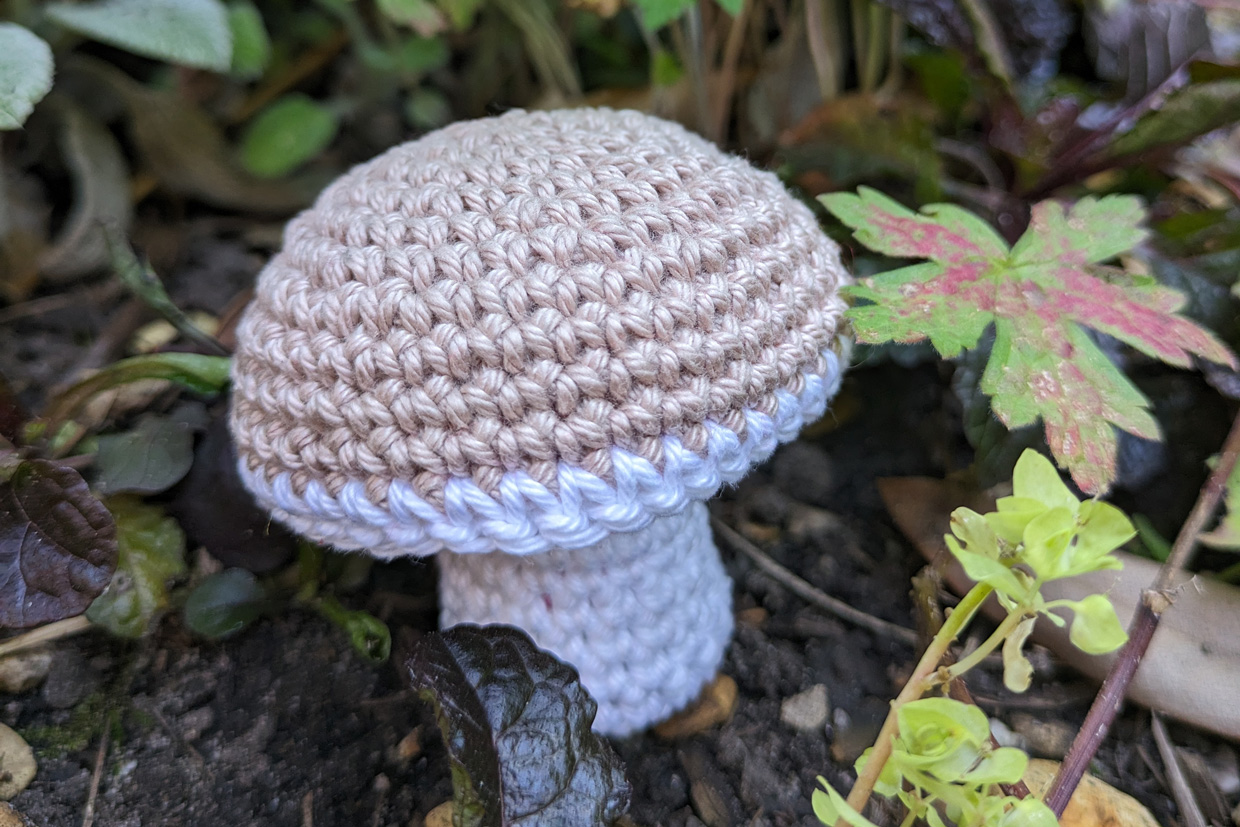 penny-bun_free_crochet_mushroom_pattern