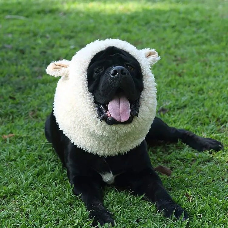 sheep dog halloween costume copy