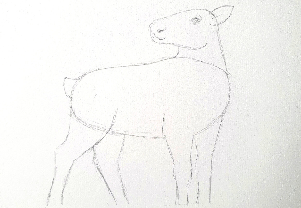 how to draw a reindeer – step 1e2