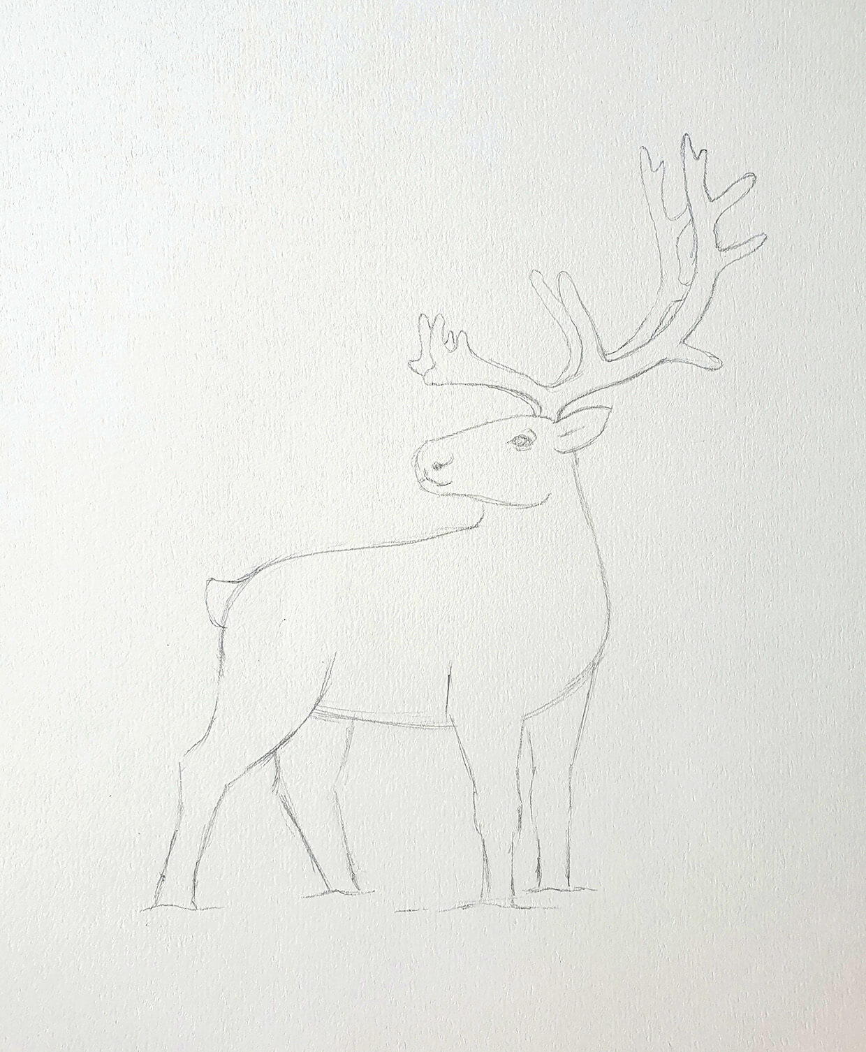 how to draw a reindeer_Step3_A