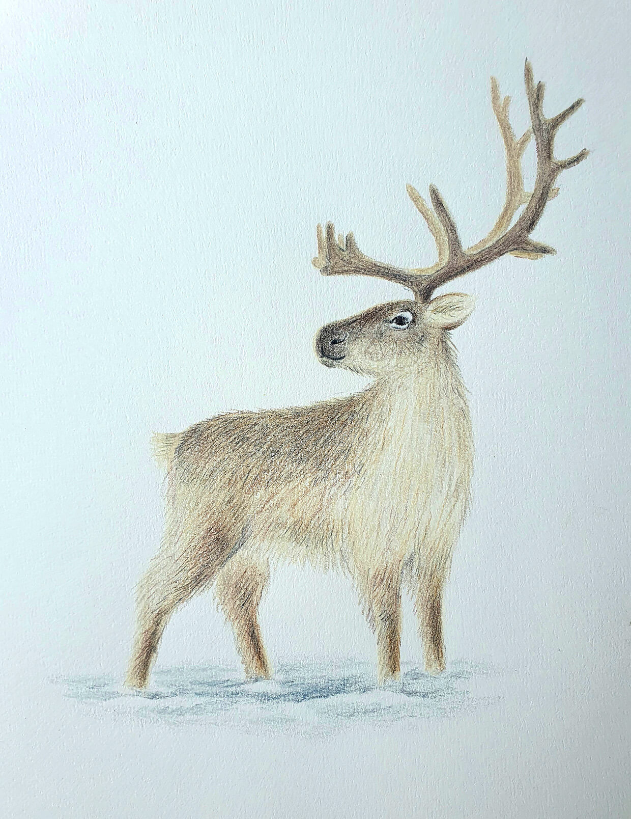 How to draw a reindeer - simple step by step instruction for kids