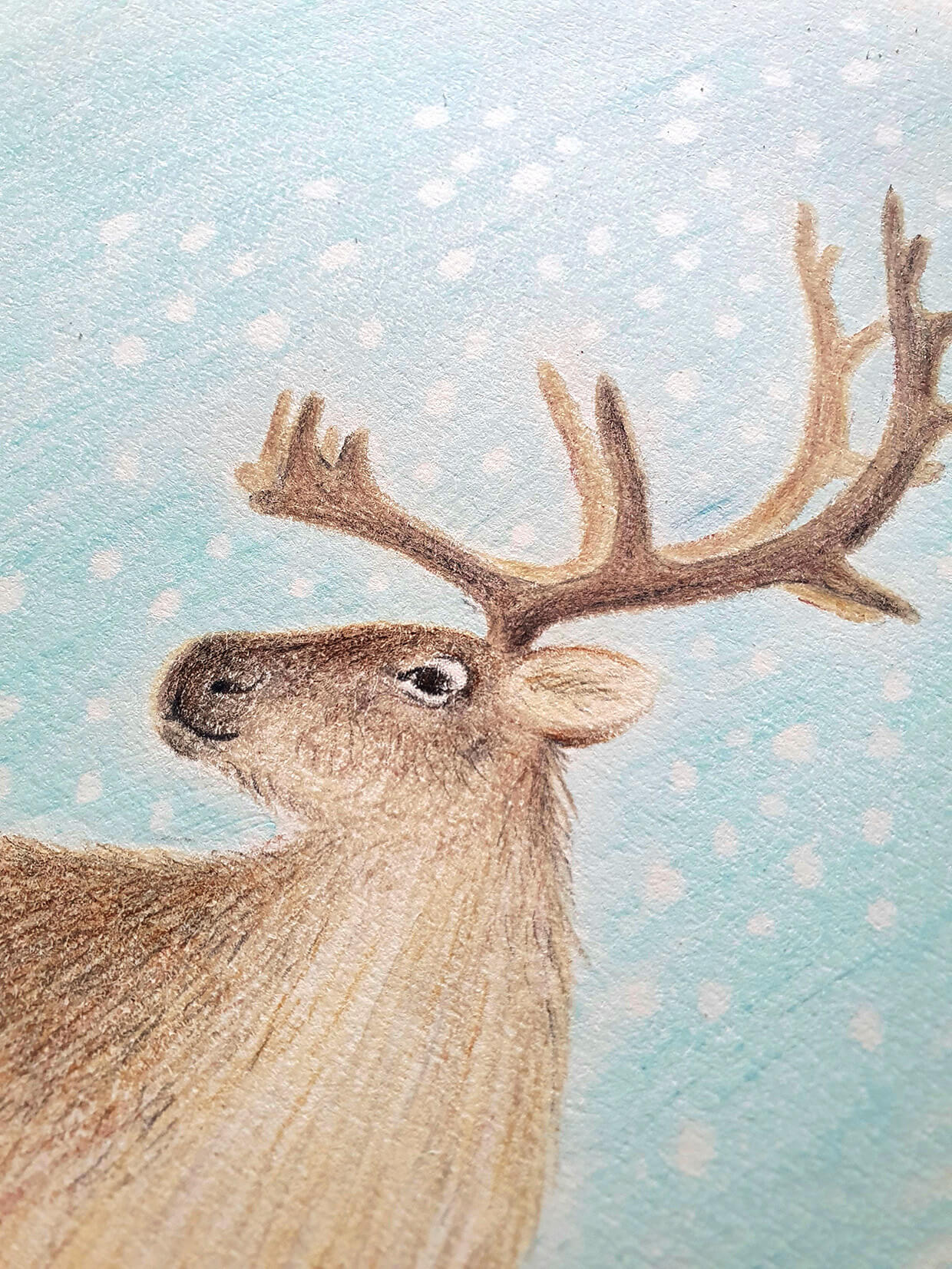 Free drawing - Christmas reindeer coloring and kindergarten gifts