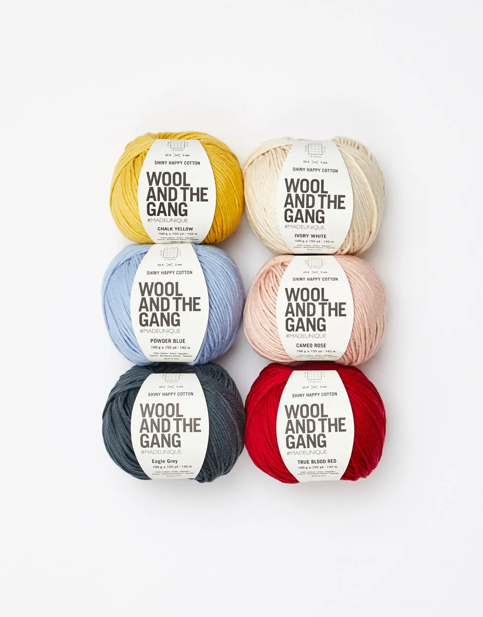 Wool and the Gang yarn bundle