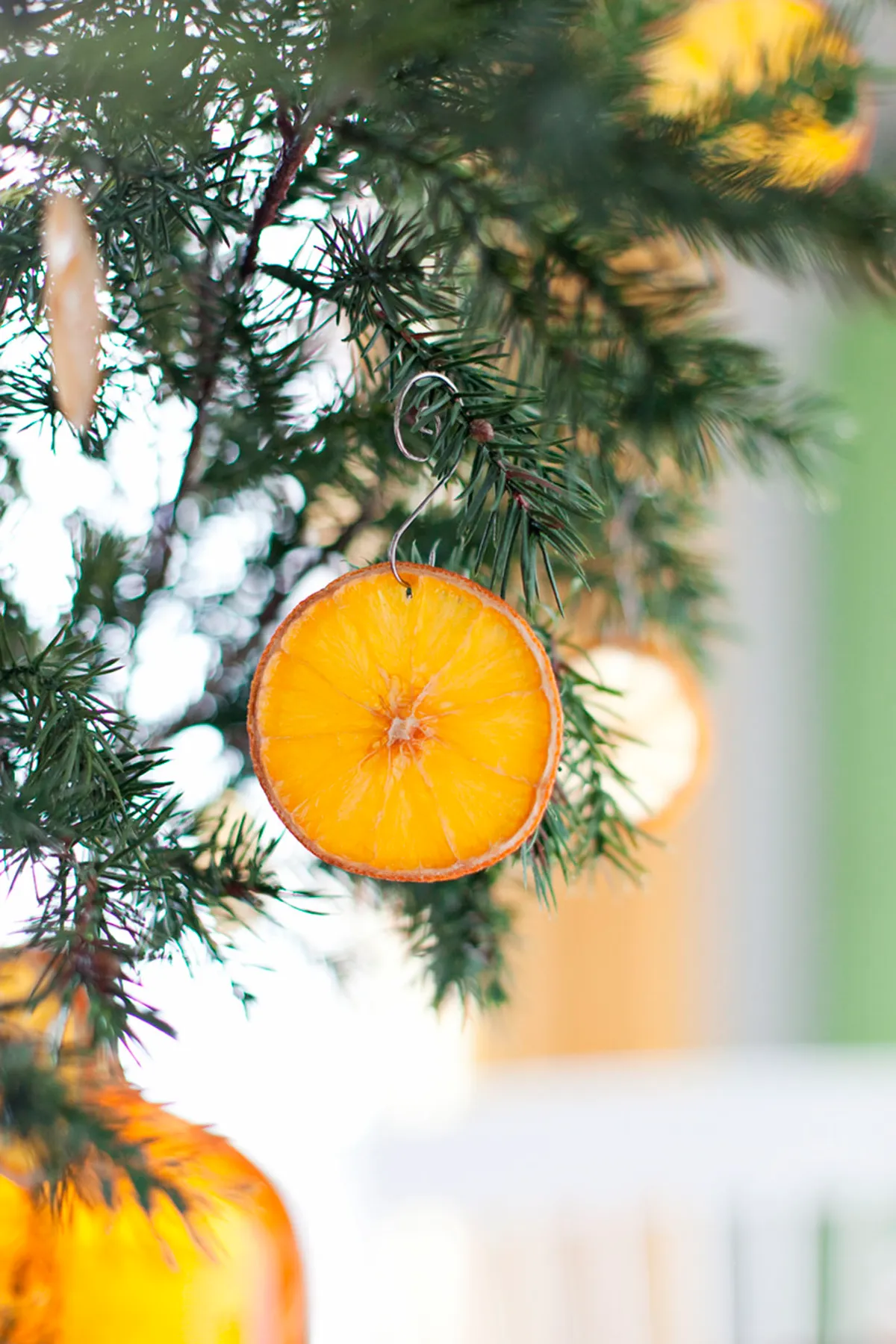 Citrus ornaments