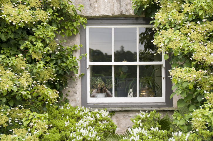 An old English country cottage close up of sash window
