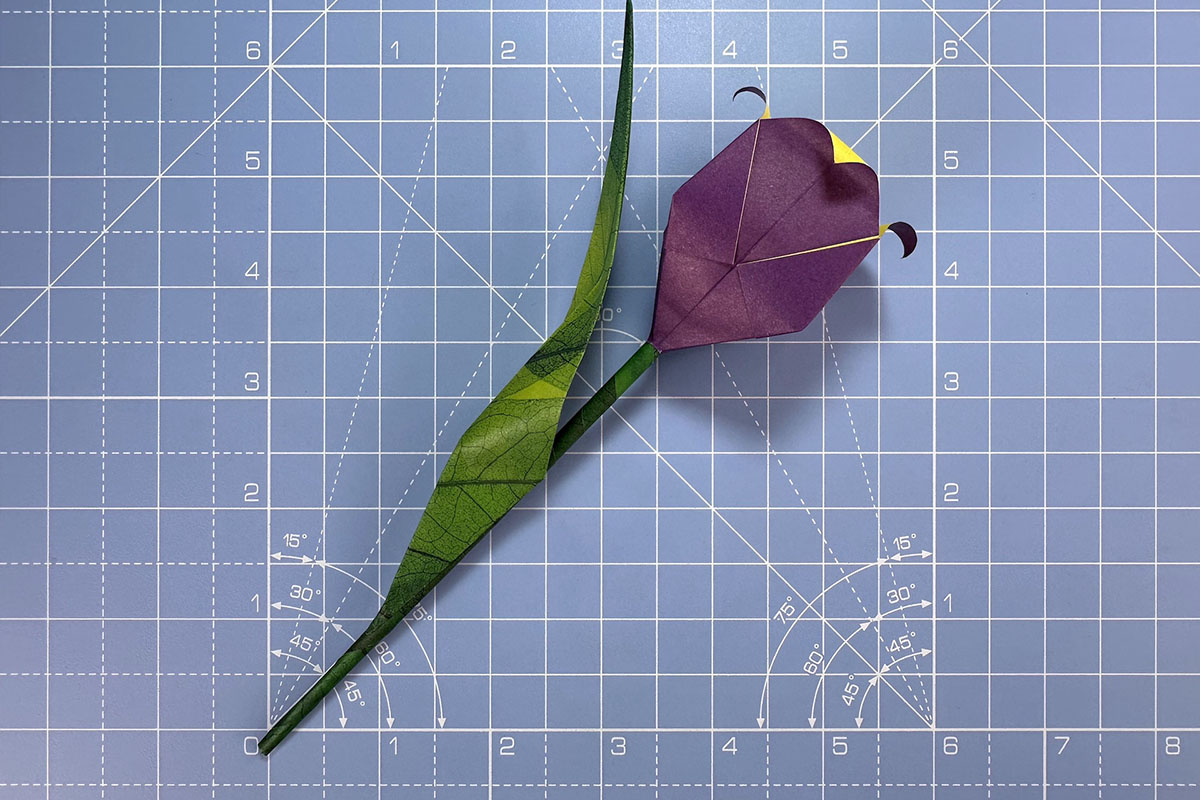 How to make an origami tulip, step 24