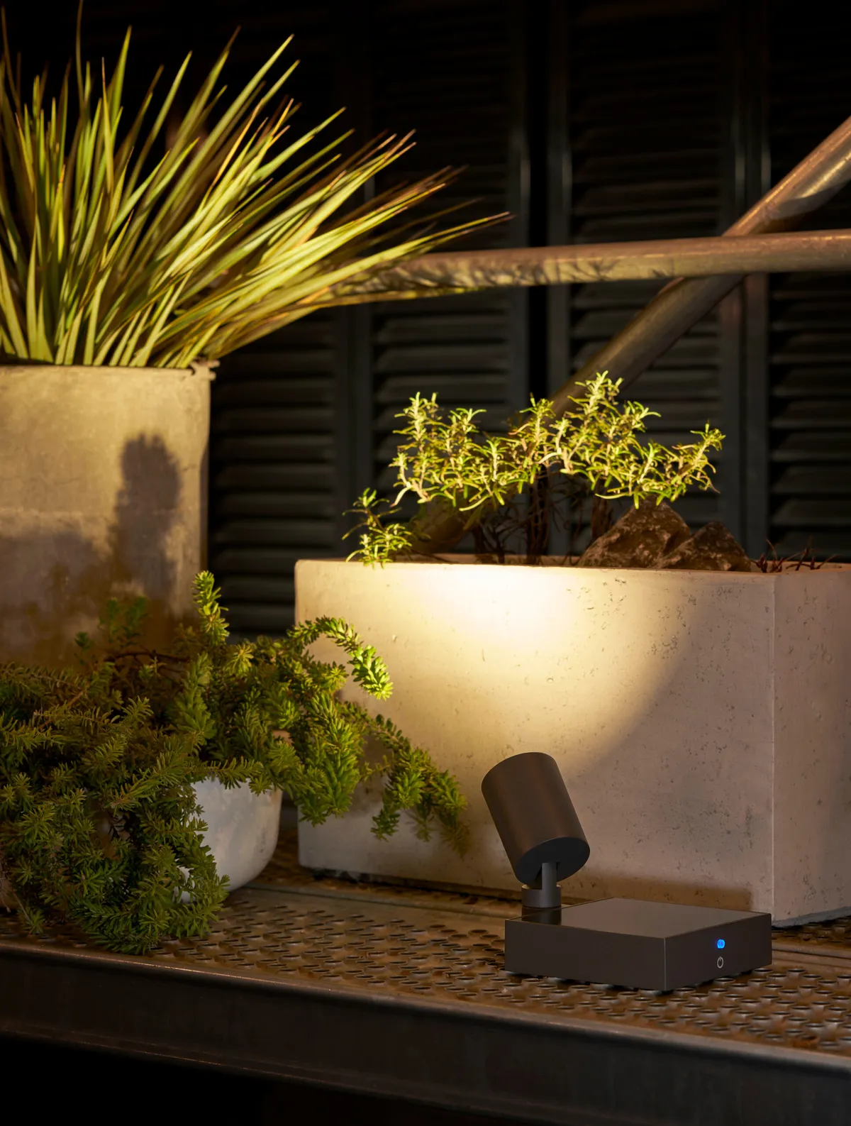 Spotlight uplighting a rectangular cream planter with green plants