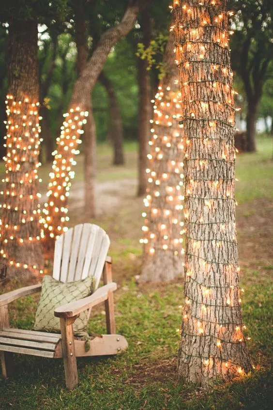 Fairy lights wrapped around trees in a woodland setting