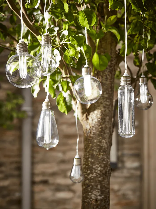 Different-shaped vintage-style bulbs hanging from a tree