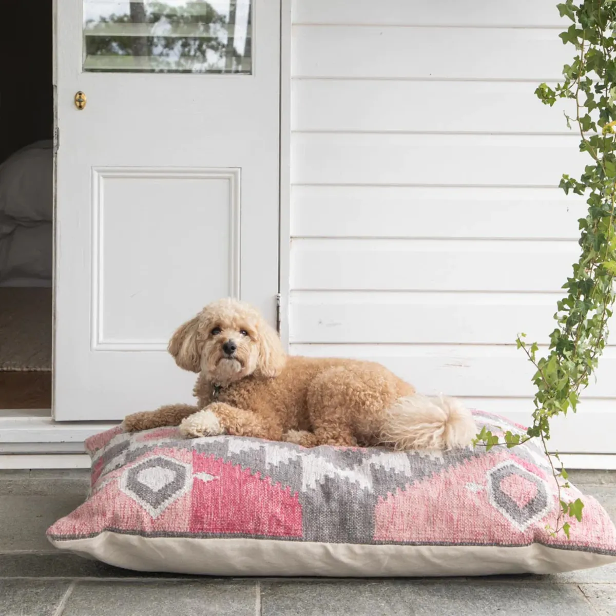 Cute dog lying on a large patterned floor cushion outside