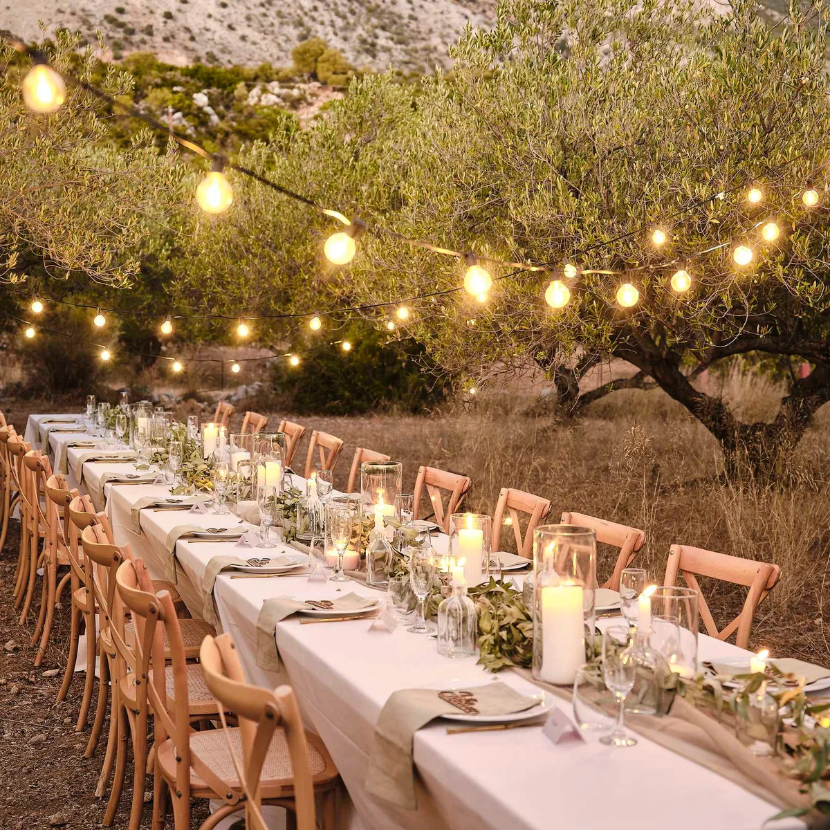 Garden dinner party set up with long dining table and festoon lights and candles