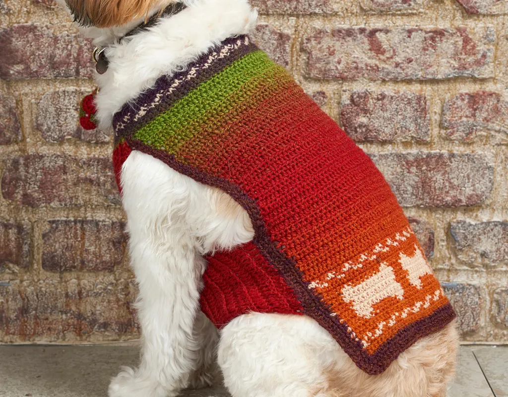 Crochet dog coat