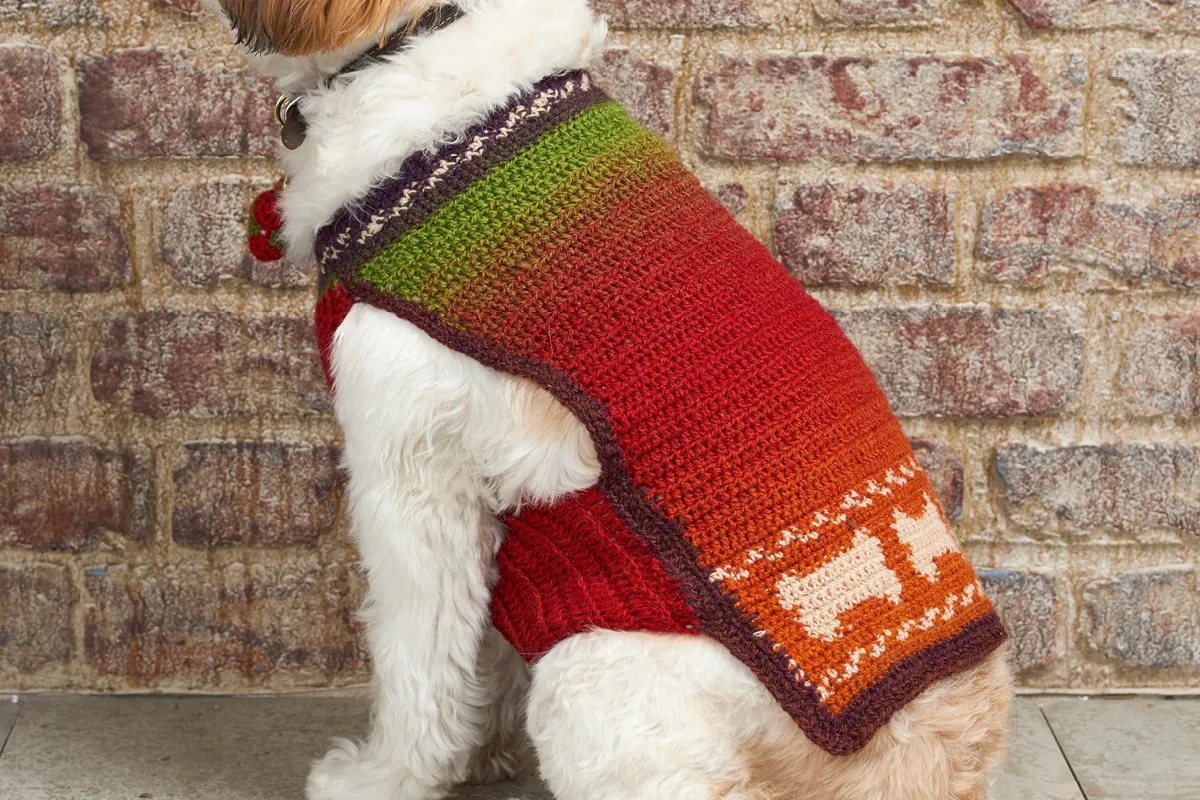 Crochet dog coat