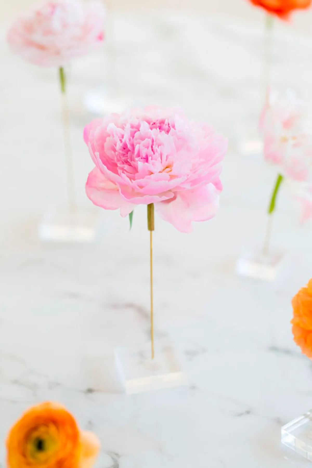 DIY floating flowers table display