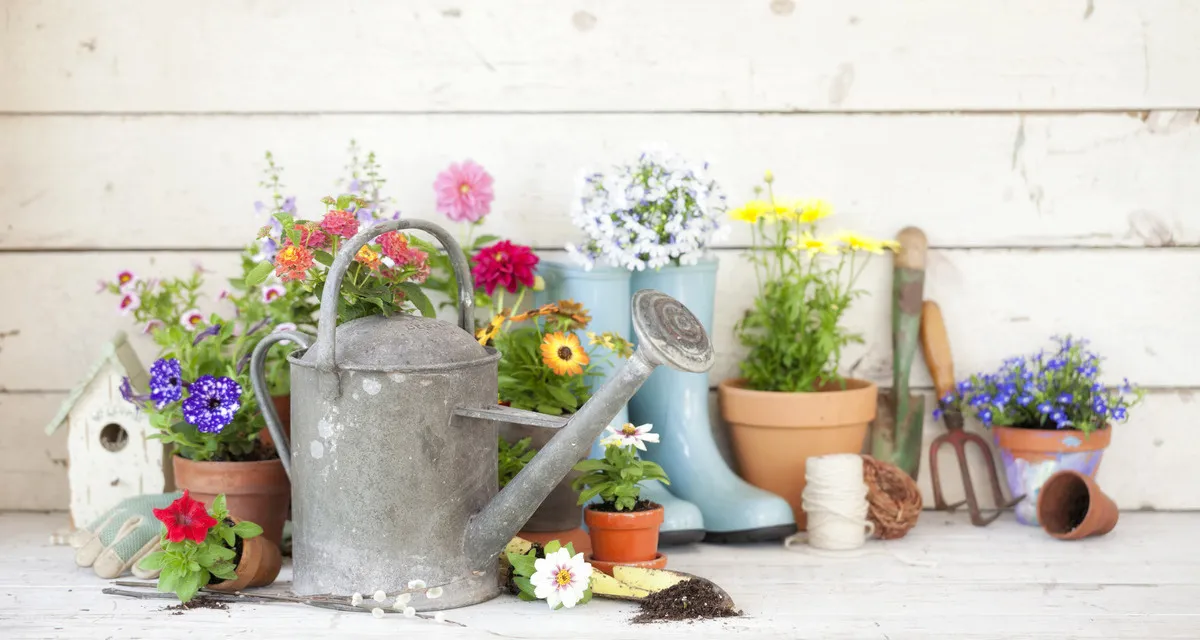 Tableau of a metal watering can, welly boots, garden tools and pots of flowers and plants against a white rustic background