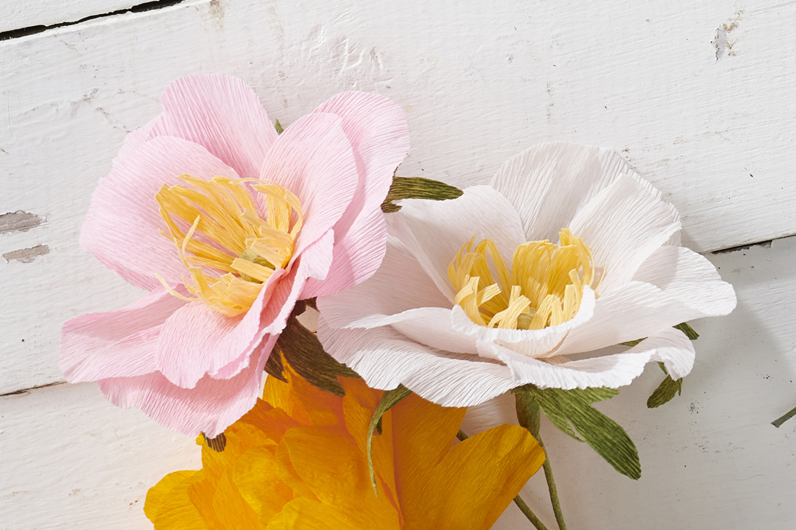 How-to-make-tissue-paper-flowers-anemone