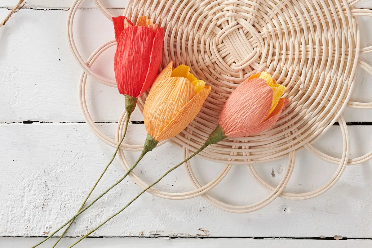 How-to-make-tissue-paper-flowers_tulip