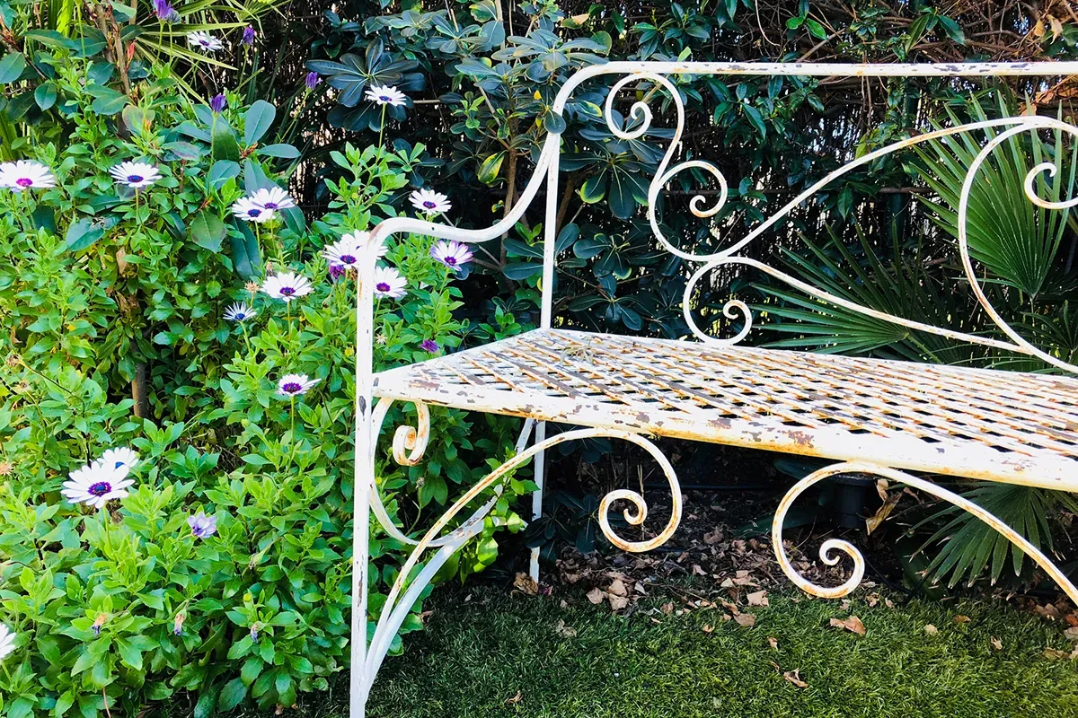 Slightly rusty white ornamental garden bench surrounded by foliage and flowers