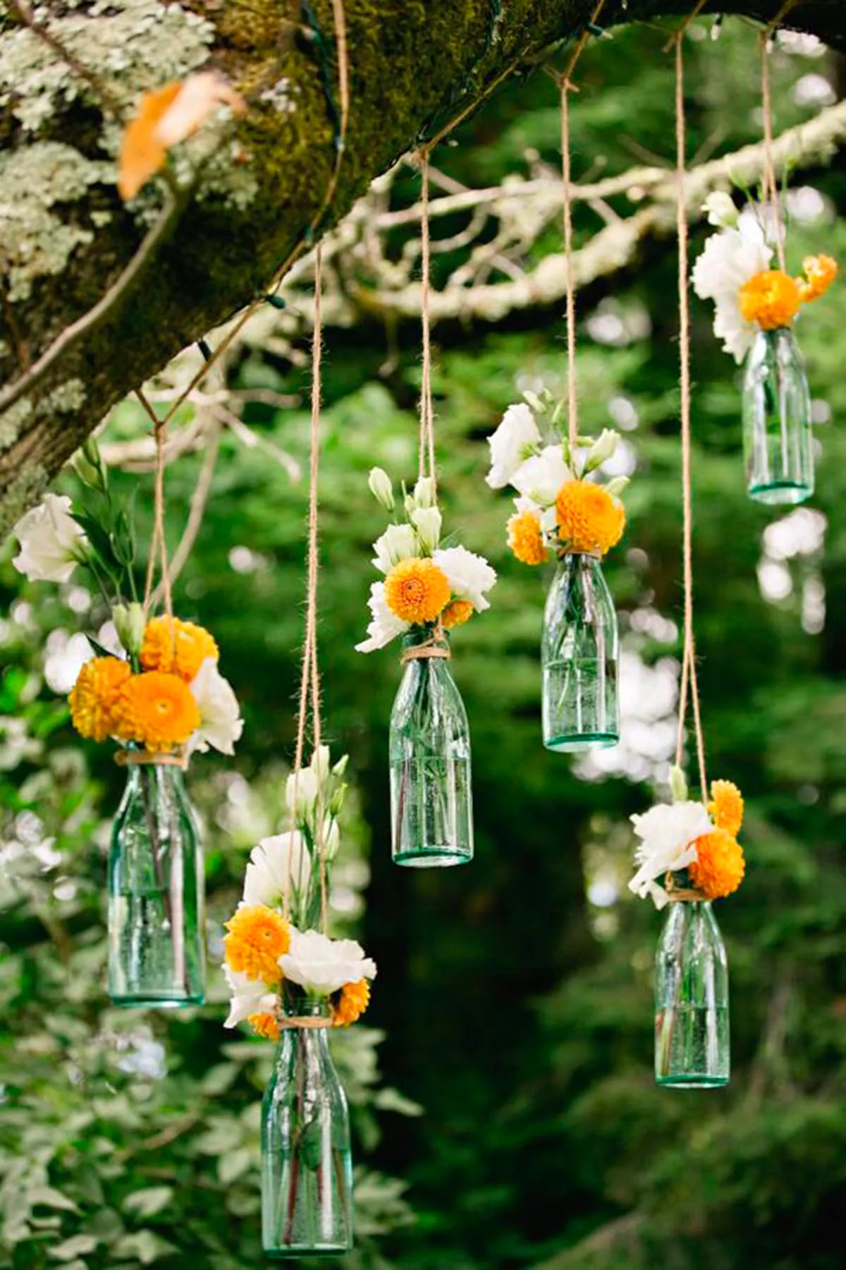 Glass bottle hanging vases